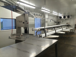 Empty Carton Conveyor